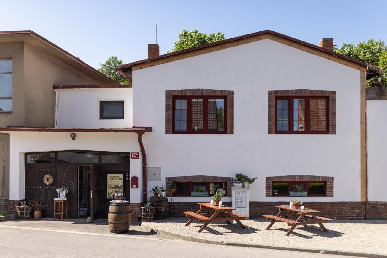 Penzion A Vinarstvi Naturvini Miroslav  Εξωτερικό φωτογραφία