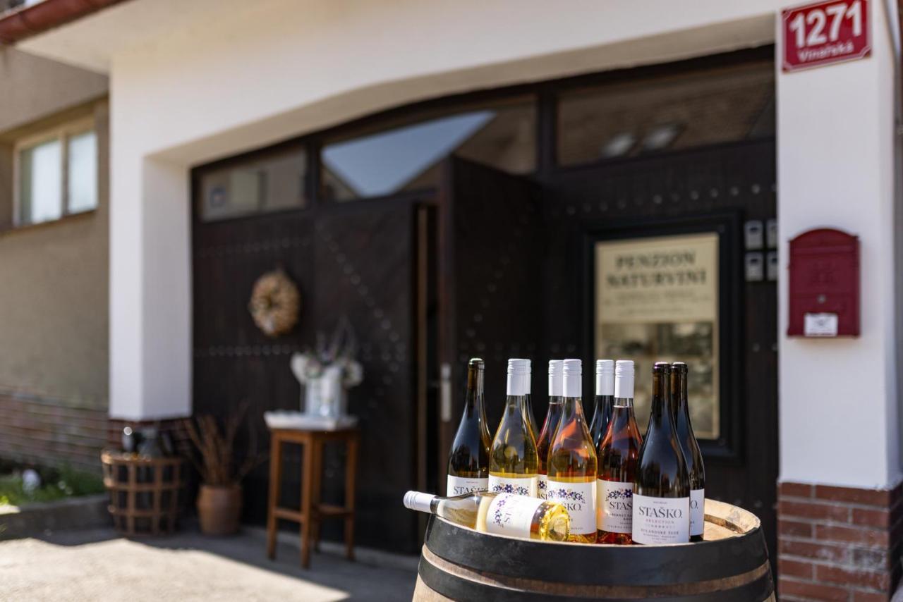 Penzion A Vinarstvi Naturvini Miroslav  Εξωτερικό φωτογραφία