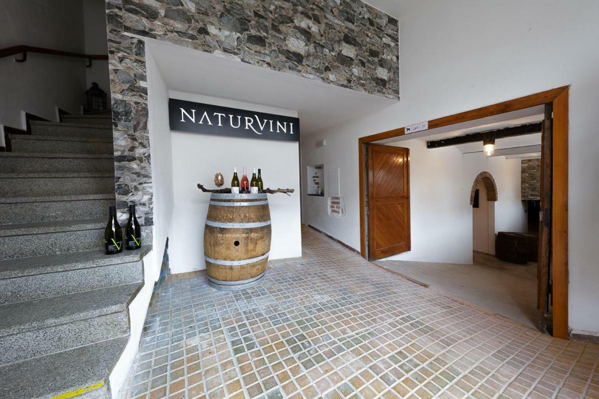 Penzion A Vinarstvi Naturvini Miroslav  Εξωτερικό φωτογραφία