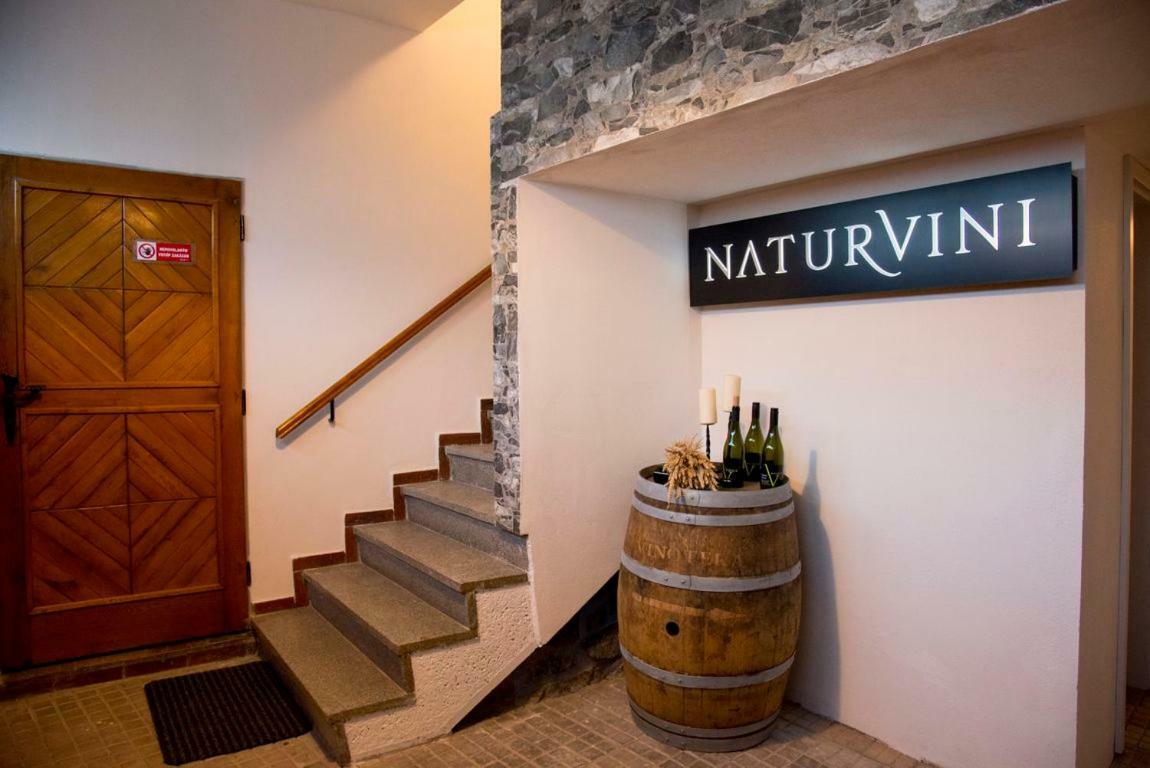 Penzion A Vinarstvi Naturvini Miroslav  Εξωτερικό φωτογραφία